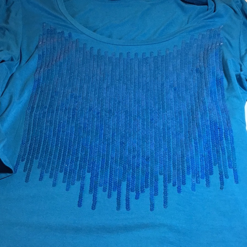 Boston proper sequin top L